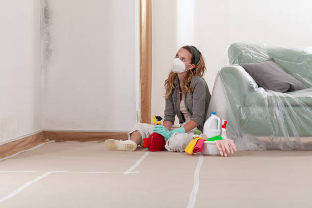 Reliable Black Mold Removal contractor in Amissville, VA by WQB Mold Removal